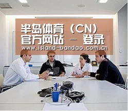 研发能力标题二